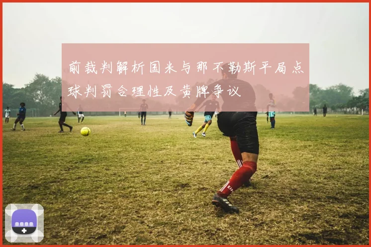 前裁判解析国米与那不勒斯平局点球判罚合理性及黄牌争议