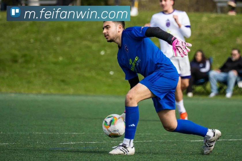 非凡娱乐发展历程